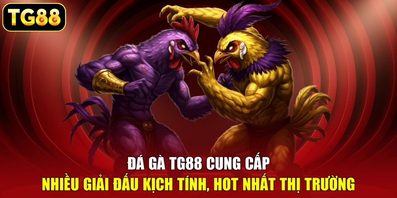 Đá gà TG88 cung cấp nhiều giải đấu kịch tính, hot nhất thị trường