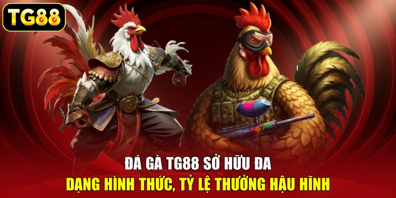 Đá gà TG88 sở hữu đa dạng hình thức, tỷ lệ thưởng hậu hĩnh