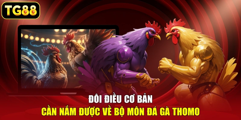 Đôi điều cơ bản cần nắm được về bộ môn đá gà Thomo