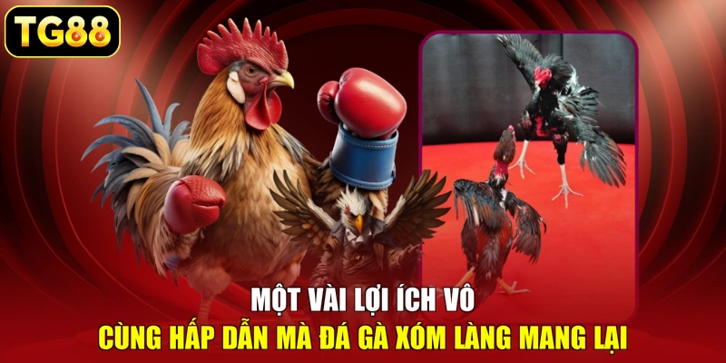 Một vài lợi ích vô cùng hấp dẫn mà đá gà xóm làng mang lại