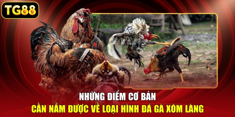 Những điểm cơ bản cần nắm được về loại hình đá gà xóm làng