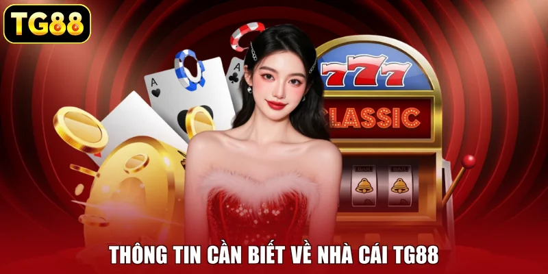 Thông tin cần biết về nhà cái TG88 Thông tin cần biết về nhà cái TG88